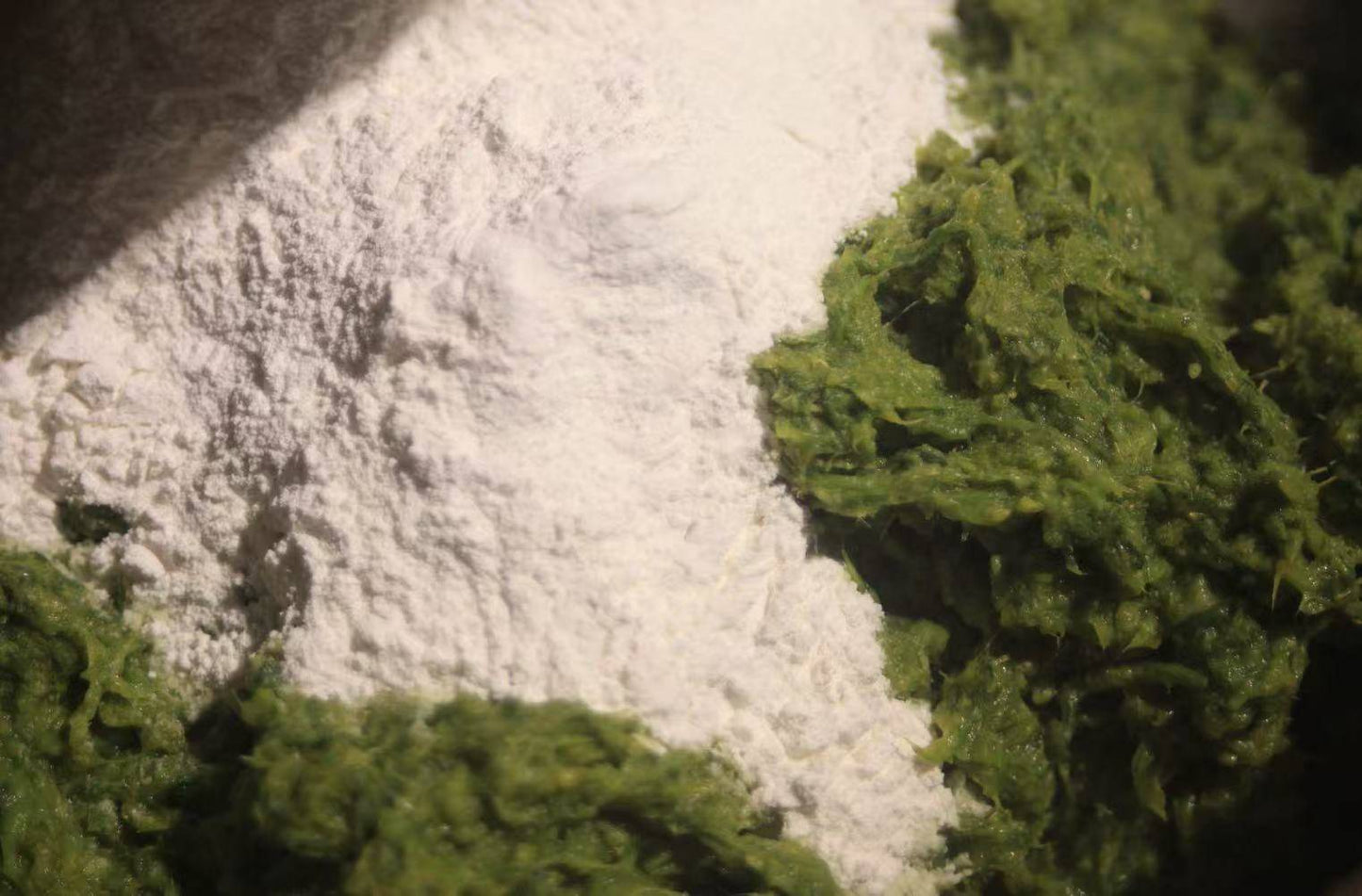 在苍山脚下「做青团」