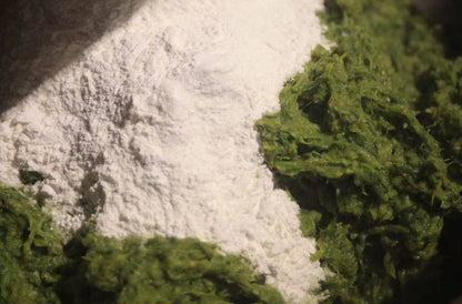在苍山脚下「做青团」