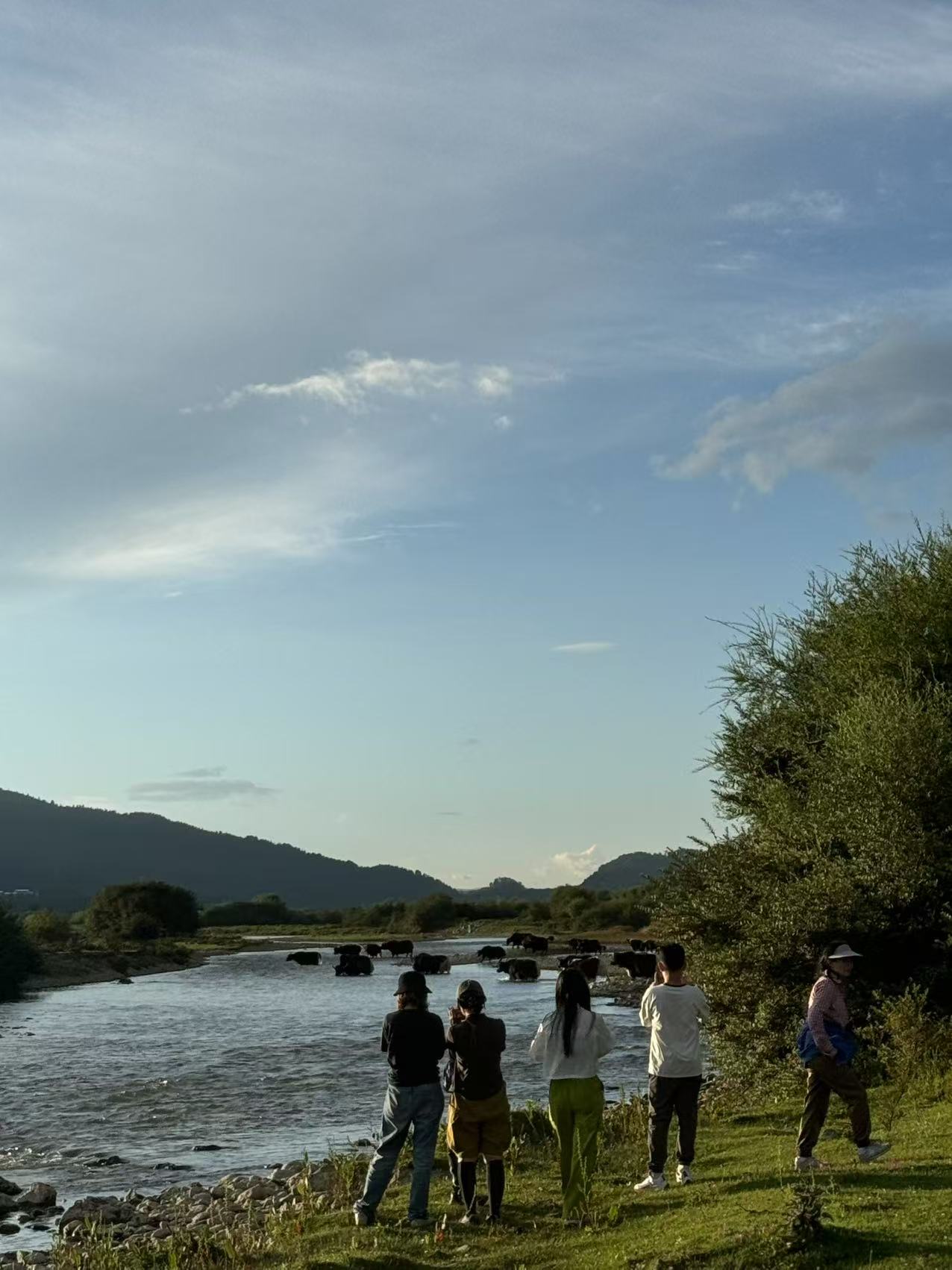 深入香格里拉牧区 2天的旅行