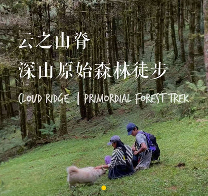 Cresta delle nuvole｜Escursione nel bosco primitivo di Dali