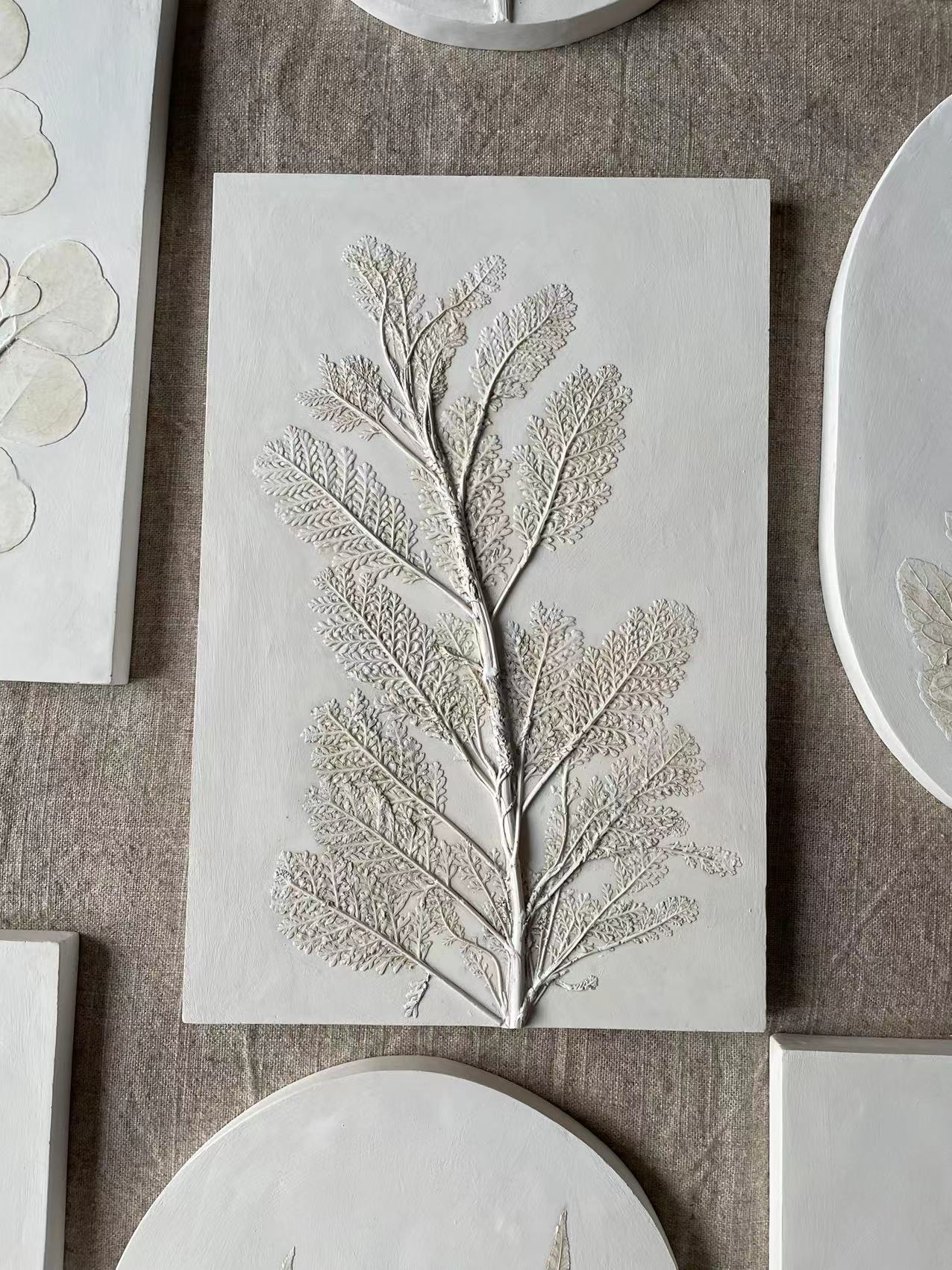 阿瓜 | 植物拓印石膏浮雕