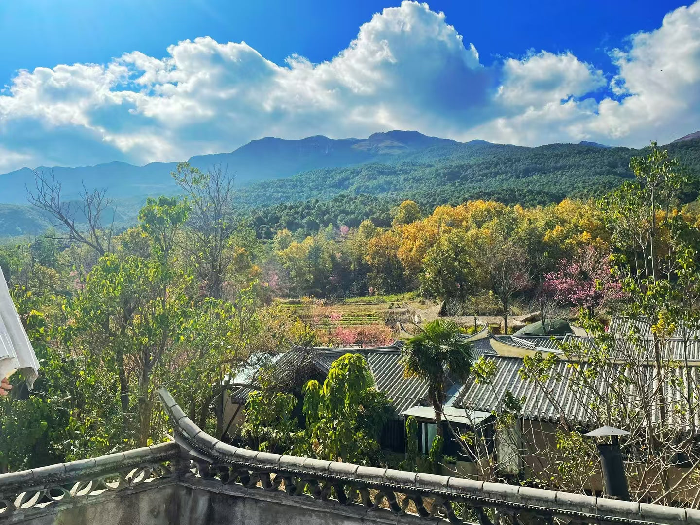 「Indigo House」新加坡菜