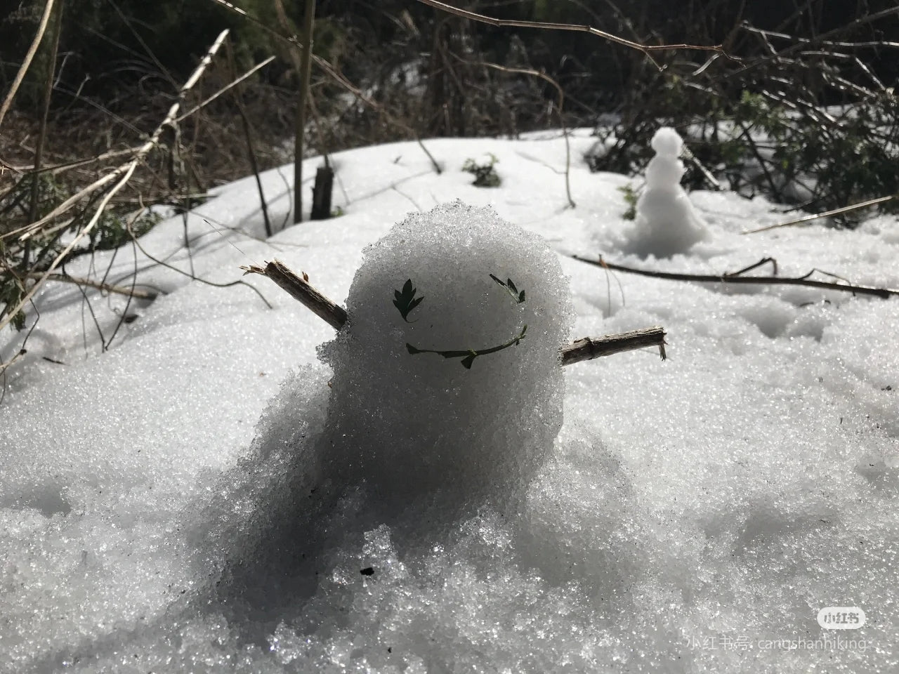 三内可颂