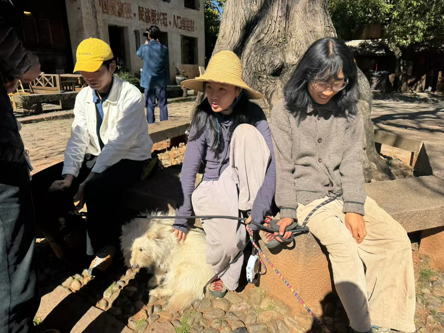 杨米