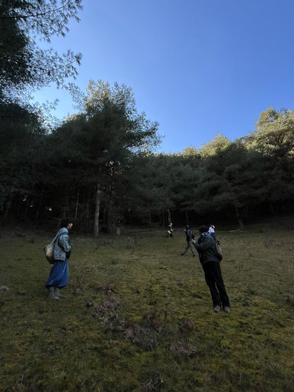 Cresta delle nuvole｜Escursione nel bosco primitivo di Dali