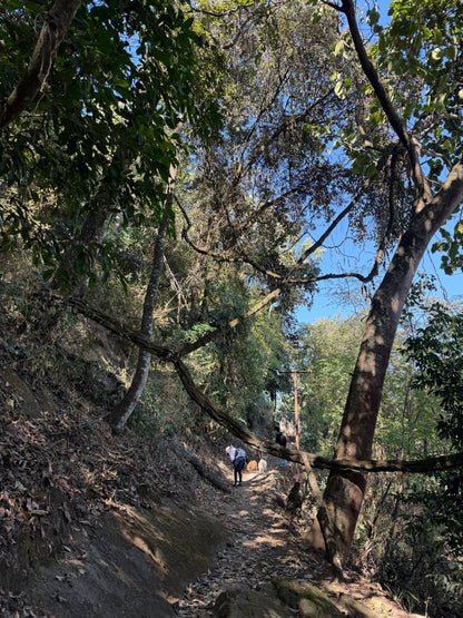怒江2日旅行｜咖啡晒场 南部边境 温泉
