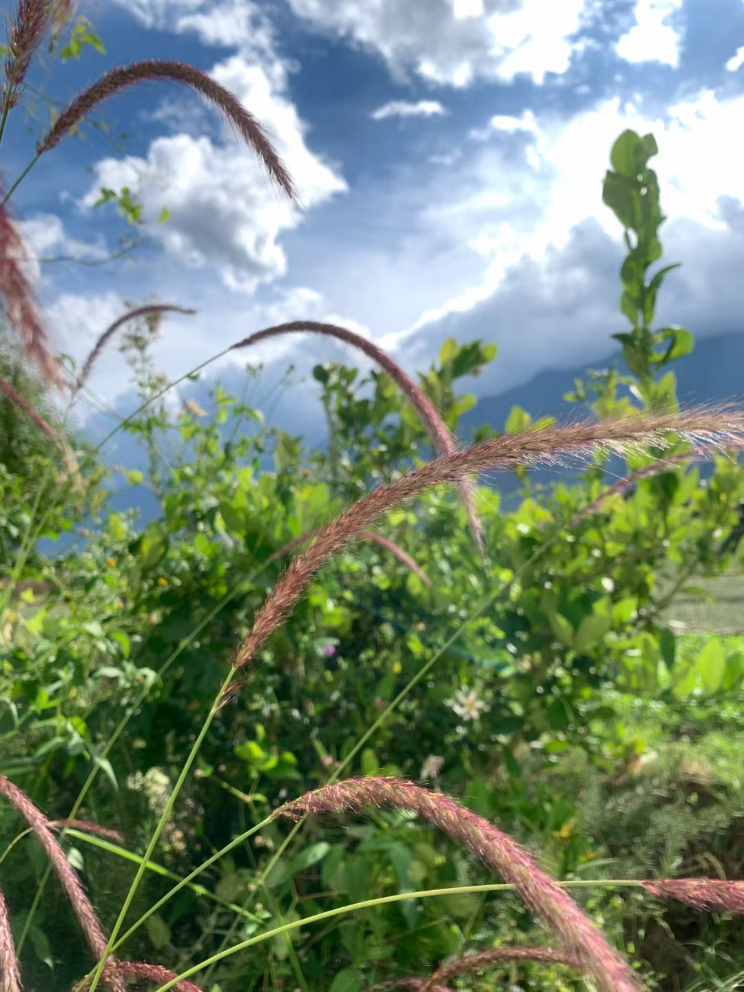 望乎所以 | 田野边独立惬意的理想独栋两间房民宿