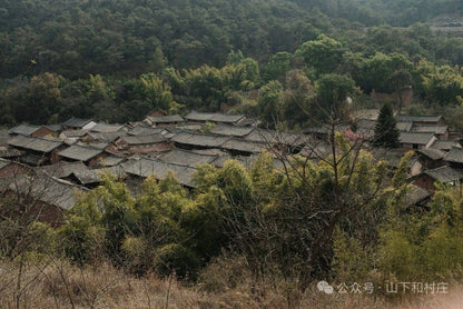 위산묘가 거리 장터｜매월 3일, 8일