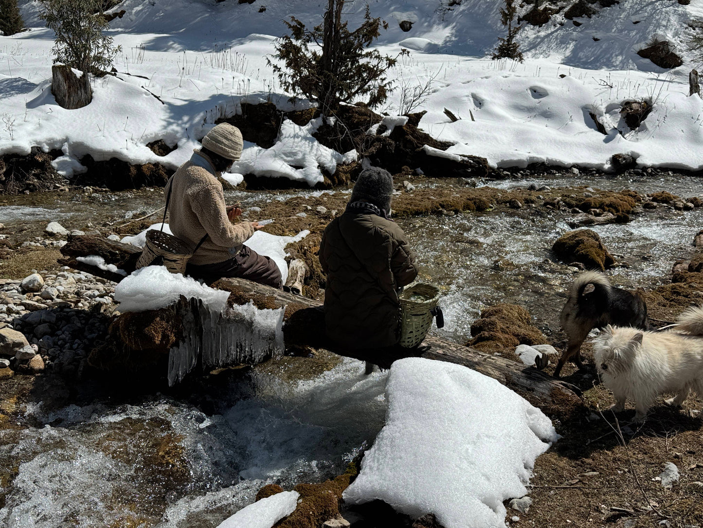 深入香格里拉牧区 2天的旅行