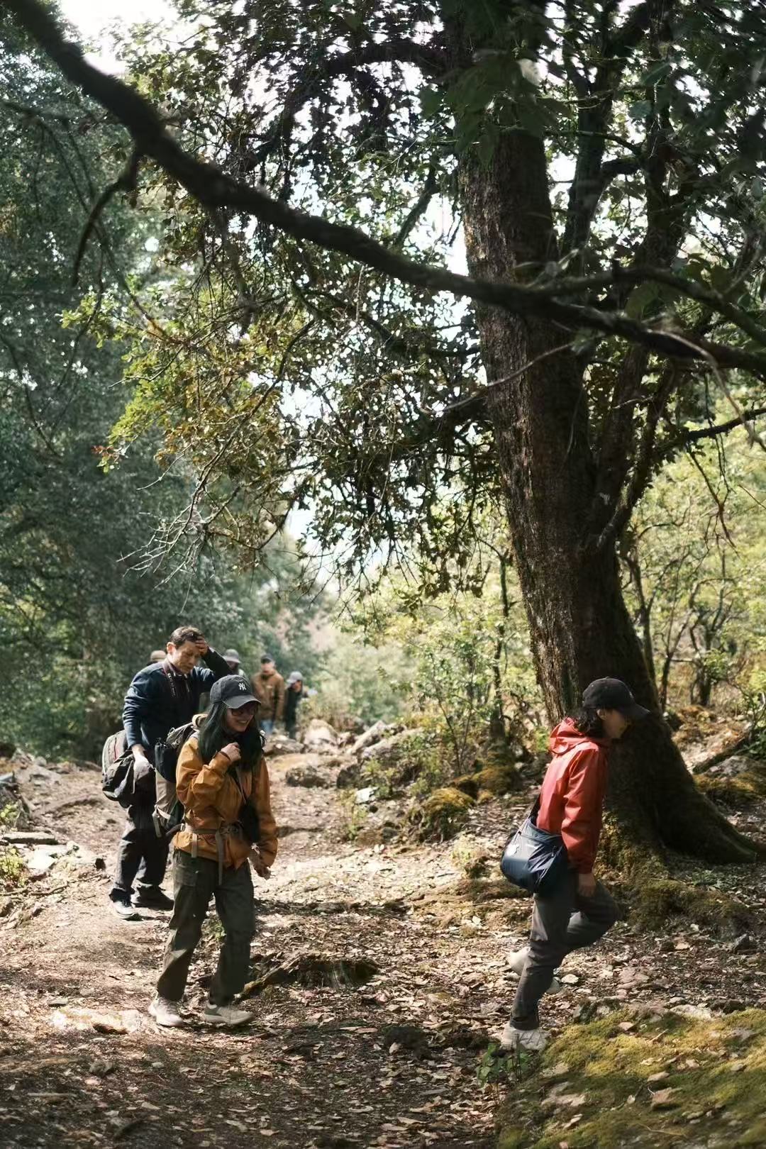 西坡山里人家的一天