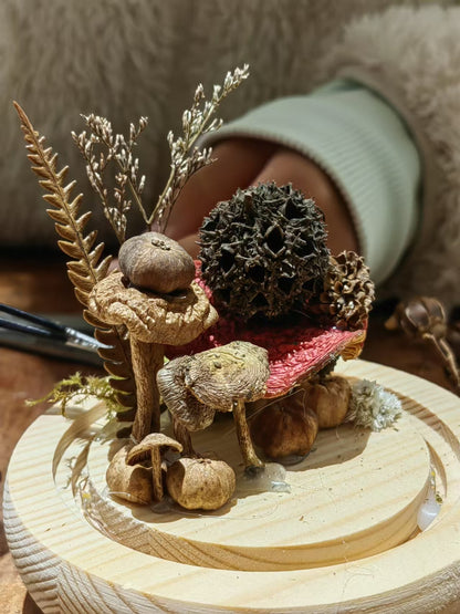 制作「蘑菇灯」| 用自己森林里采集的蘑菇