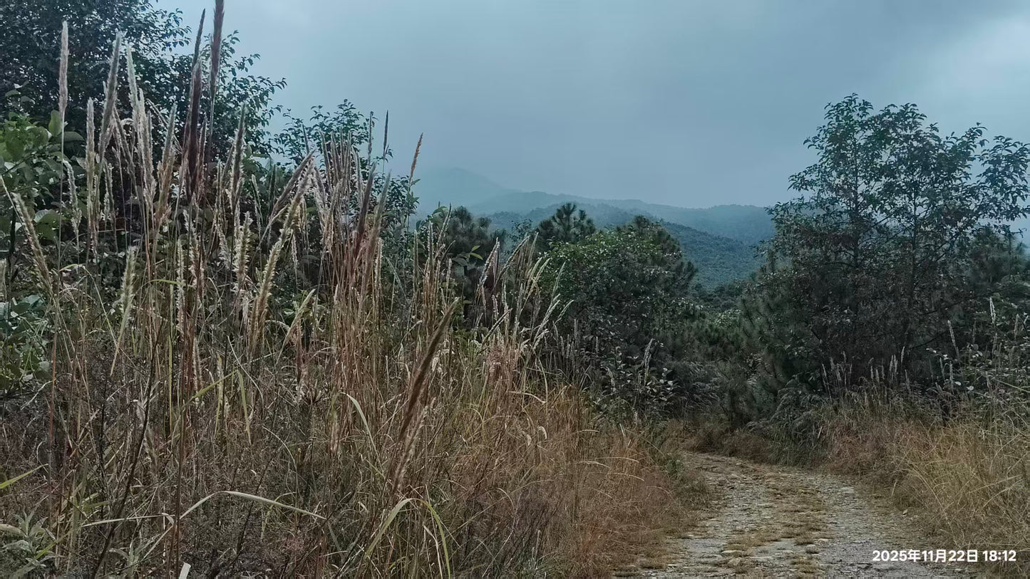 傍晚清碧溪茶园徒步 ｜下山向导红红家吃饭