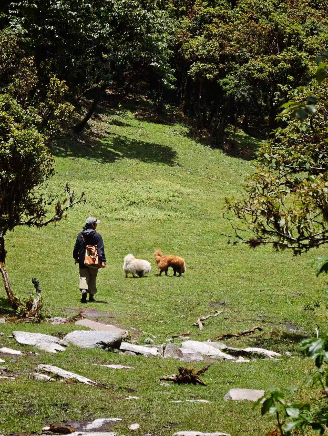 寒寒的哀牢山森林徒步（2天旅行）