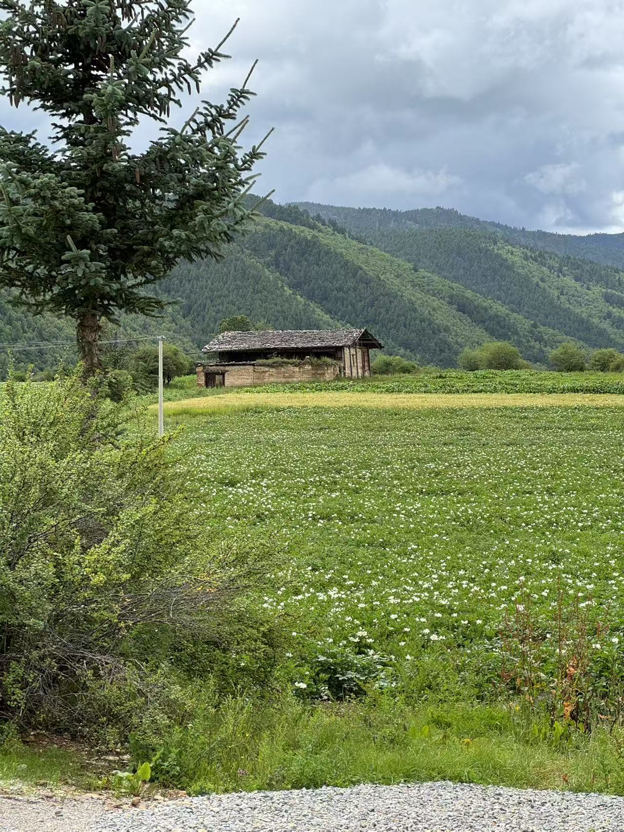 深入香格里拉牧区 2天的旅行