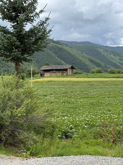 深入香格里拉牧区 2天的旅行