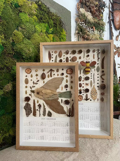 阿瓜 | 秩序感植物装饰画