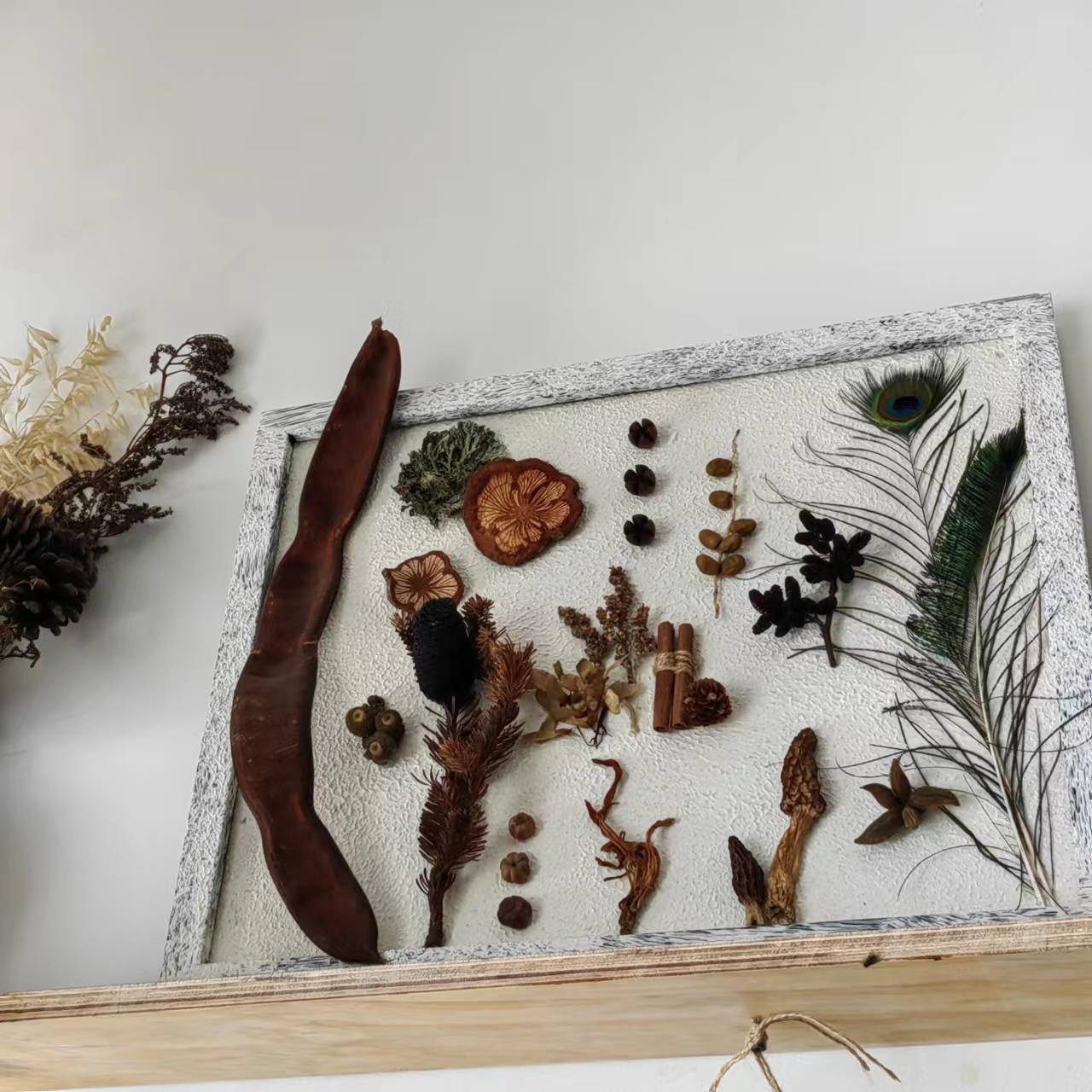 用植物和果实制作一幅画框