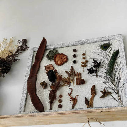 用植物和果实制作一幅画框