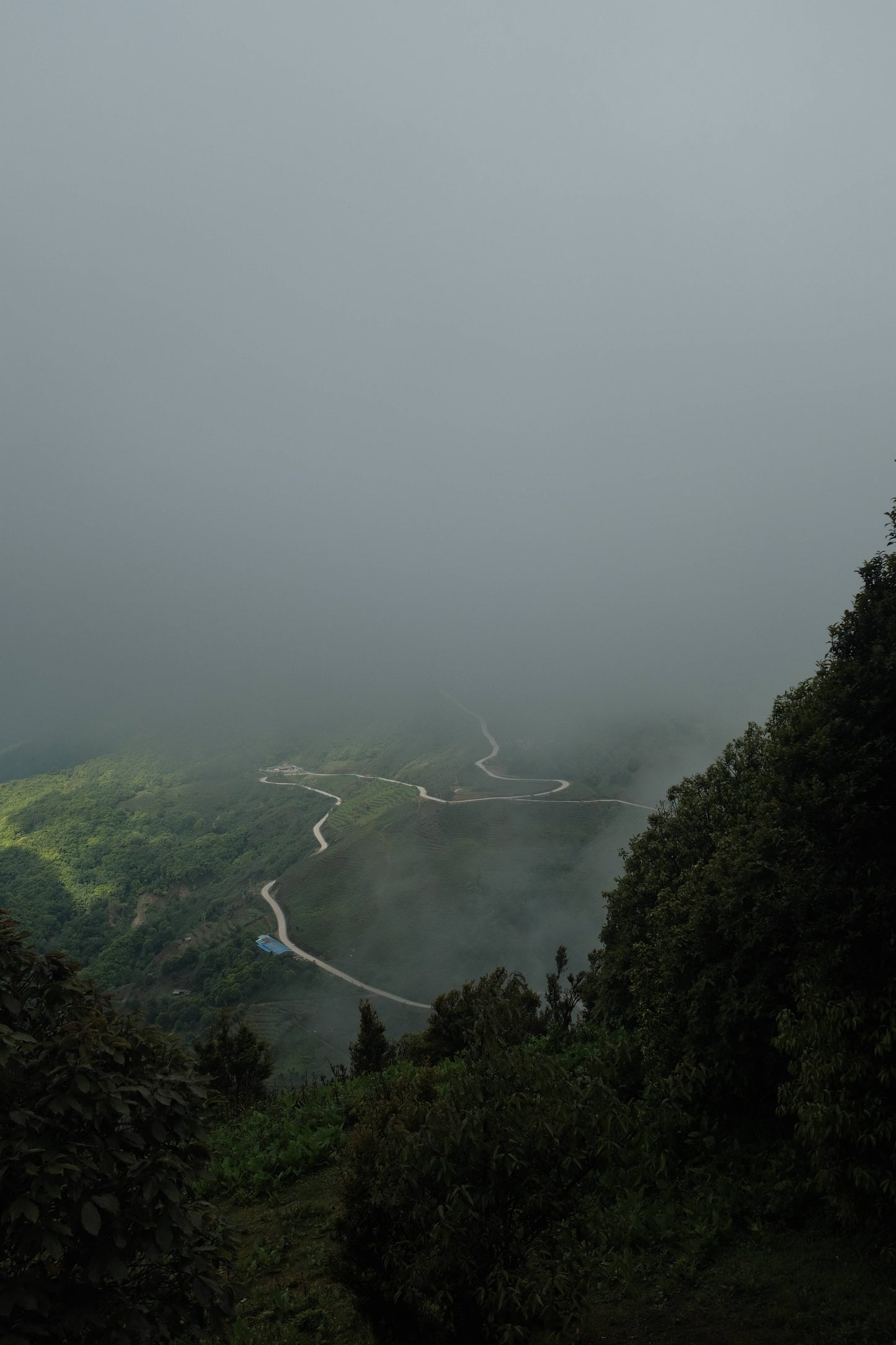 寒寒的哀牢山森林徒步（2天旅行）