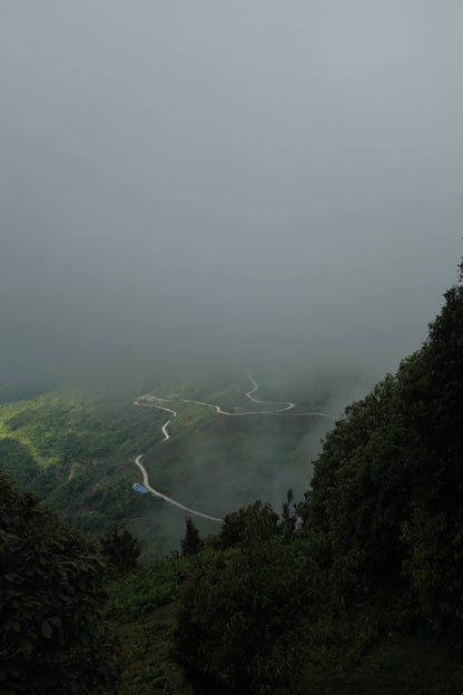 寒寒的哀牢山森林徒步（2天旅行）