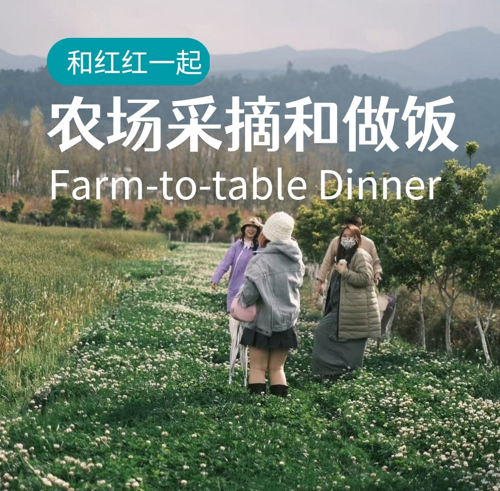 去有机农场采摘 | 和红红一起在家做饭