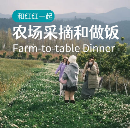 去有机农场采摘 | 和红红一起在家做饭