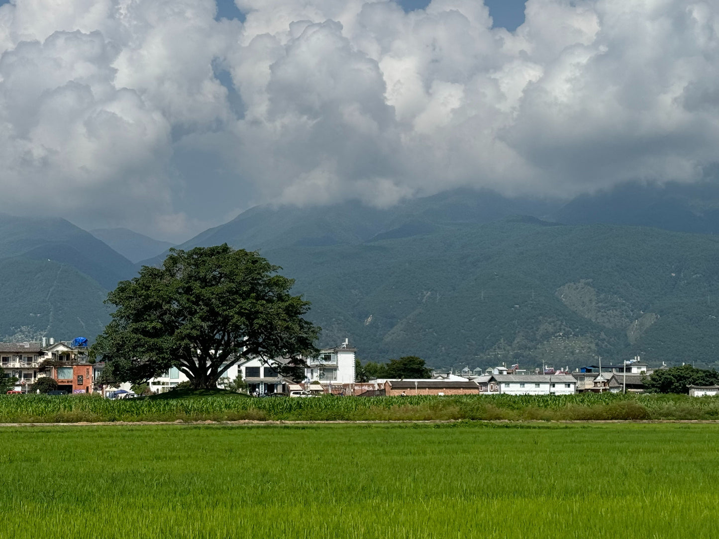喜洲骑行 | 和兰迪探索村庄，田野和洱海