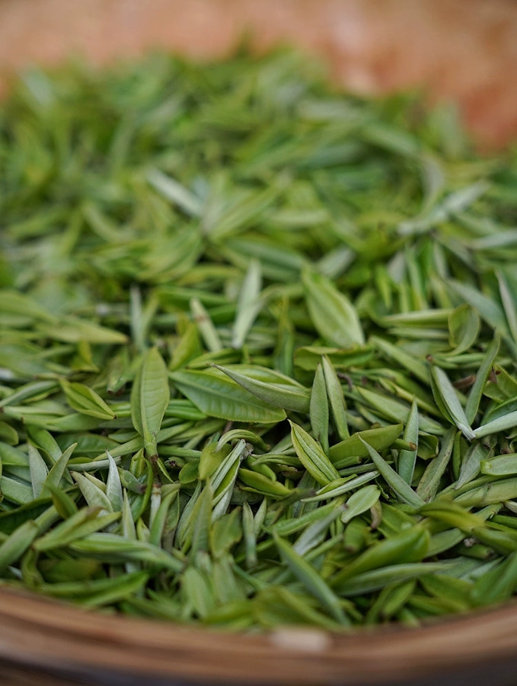 「莫催茶室」的明前绿茶 和 滇红茶