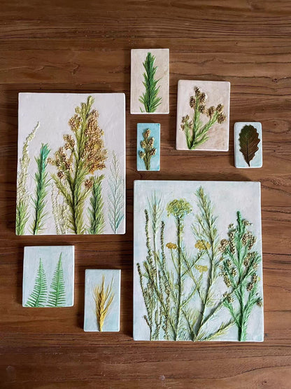 阿瓜 | 植物拓印石膏浮雕