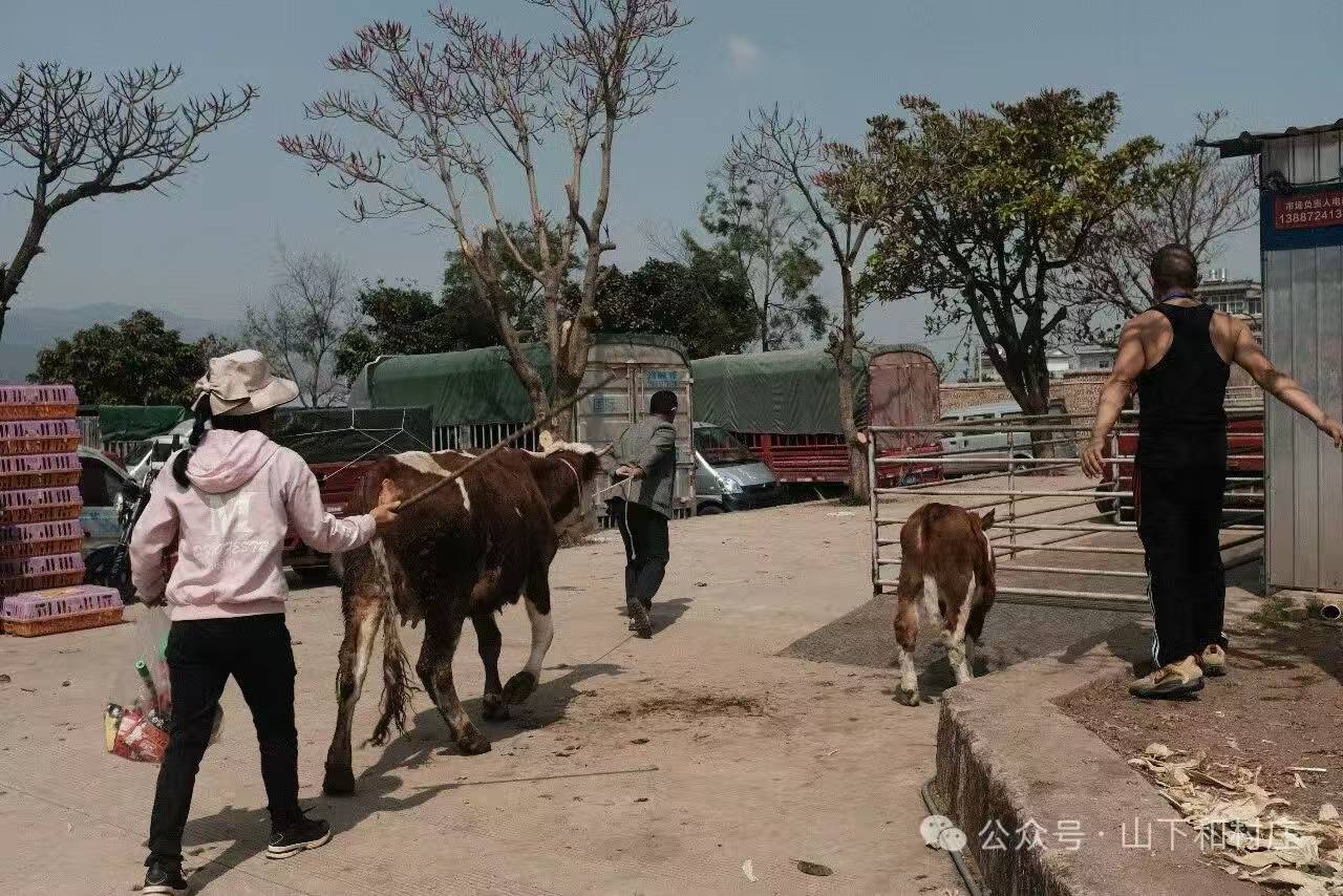 위산묘가 거리 장터｜매월 3일, 8일