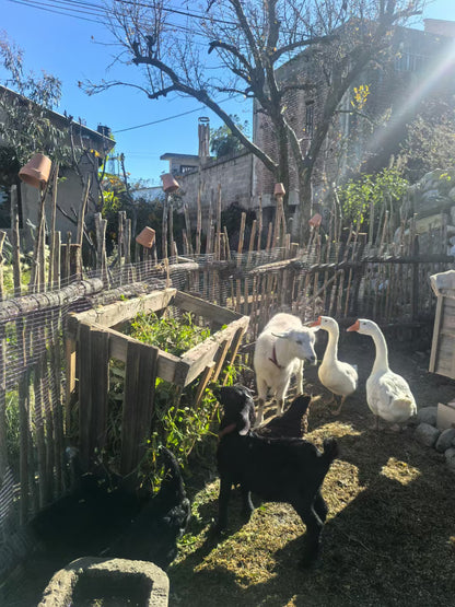 「鳟鱼餐厅」 精致西餐
