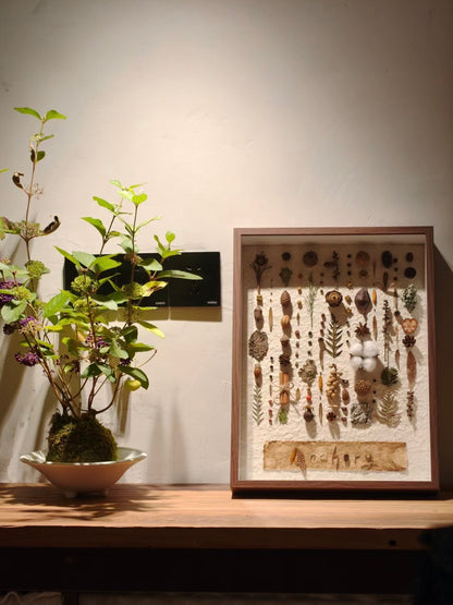 阿瓜 | 秩序感植物装饰画