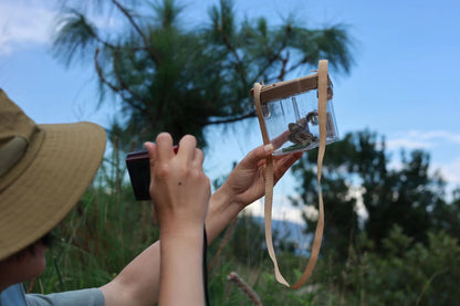 Mini escursione di osservazione della natura | Uccelli, piante e insetti