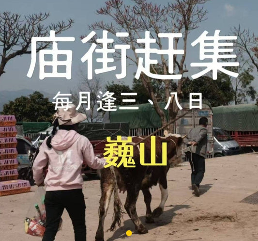 巍山庙街赶集｜每月逢三、八日