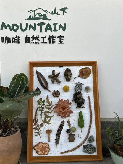 用植物和果实制作一幅画框