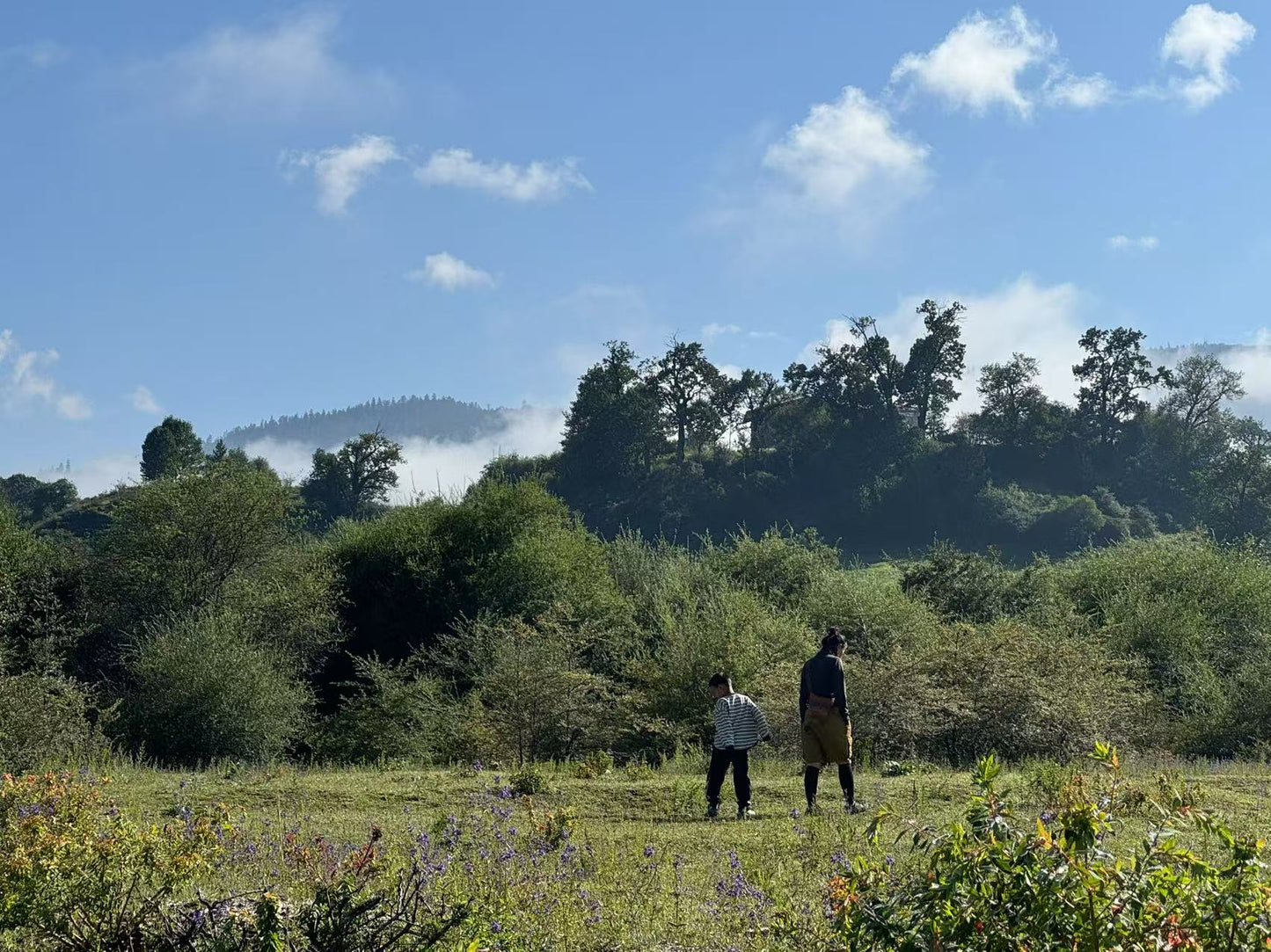 深入香格里拉牧区 2天的旅行