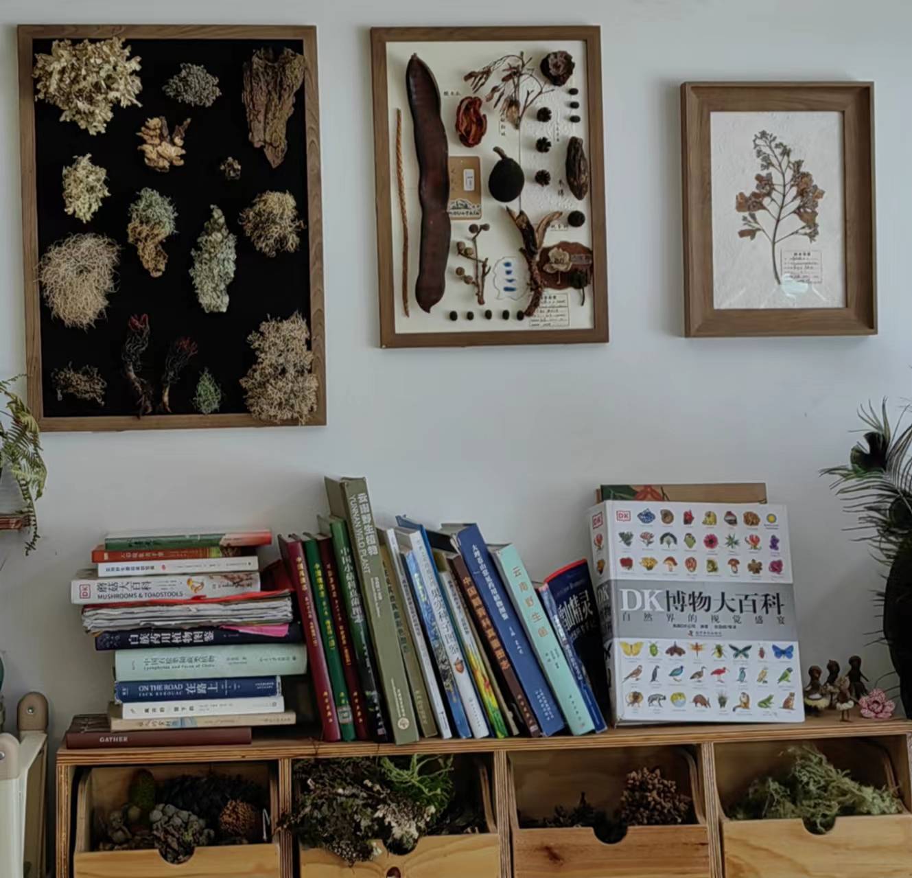 用植物和果实制作一幅画框