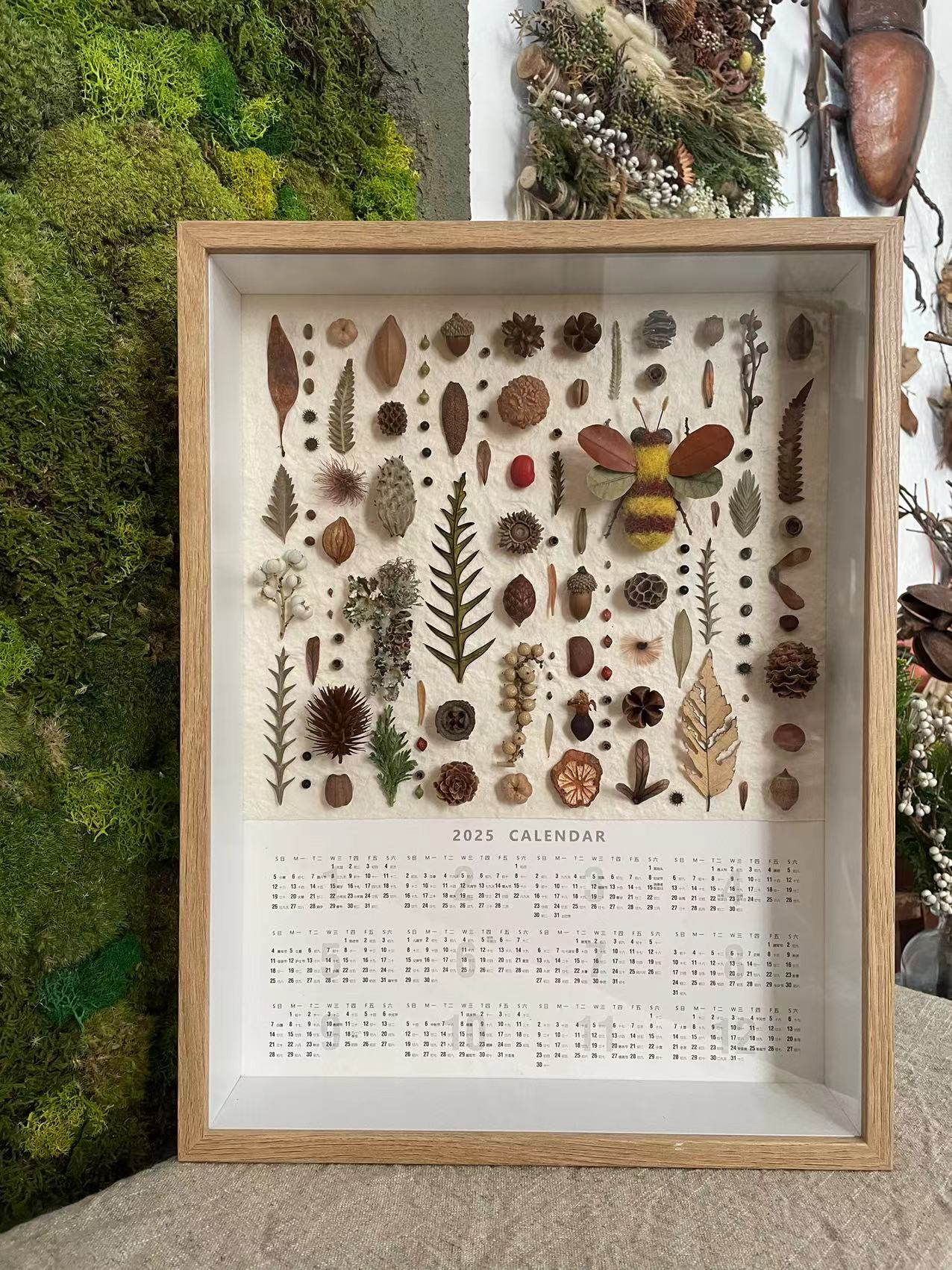 阿瓜 | 秩序感植物装饰画